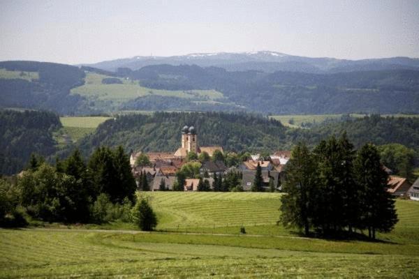 Gaestehaus Wald Und See Titisee-Neustadt Exteriör bild